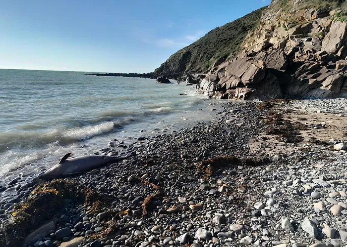 2 Pieces Jullouville-les-Pins